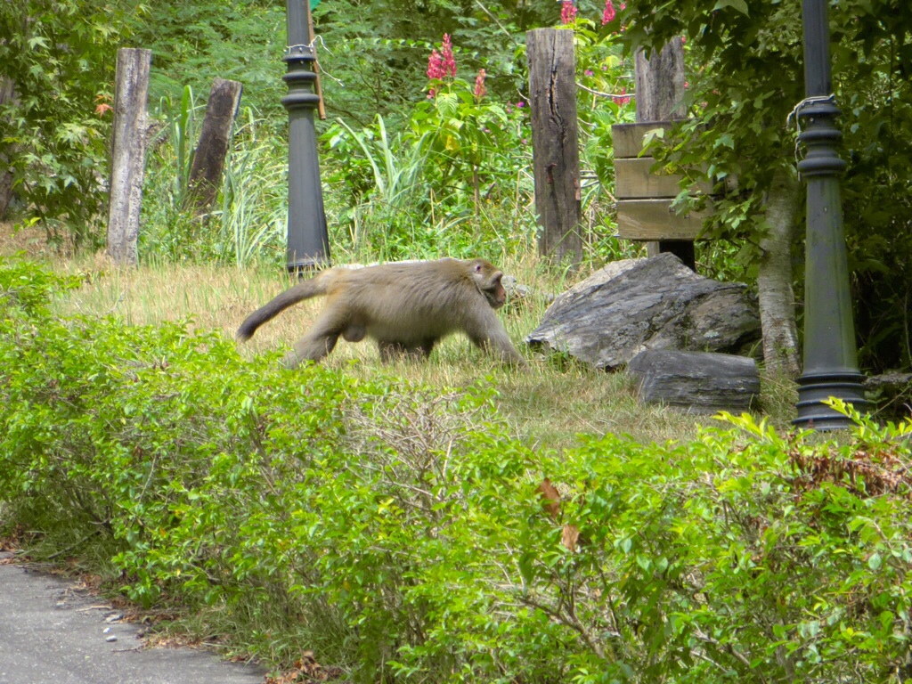 Hua Lien und TaRoKo Nationalpark