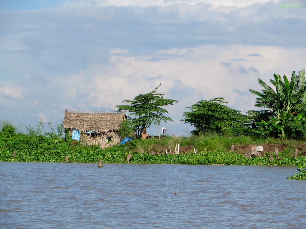 Mekong Delta